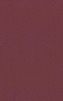 Burgandy 32" x 40" Photo Mat Board Full Sheet - Uncut (25-Sheets)