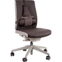 Fellowes Professional Series Back Support, Black (8037601)