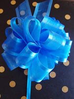 POSHNPRETTY 6" Arabesque Sheer Ribbon w/Satin Edge Pull Bow 18 Loops by 1.5" - Packs of 12 (Royal Blue)
