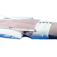 Lumbar Sacral Pelvic Traction Belt Replacement 890 (Small)