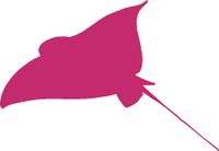 hBARSCI Stingray Vinyl Decal - 5 Inches - for Cars, Trucks, Windows, Laptops, Tablets, Outdoor-Grade 2.5mil Thick Vinyl - Pink