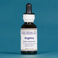 Angelica - 1 OZ