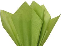 Oasis Green Tissue Paper 20x30" 480 Sheet Flat Ream - Wraps-CTFOA