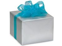 Silver Gift Wrapping Paper - 16 Foot Roll