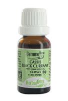 Black Current - Herbal Gem (Small)