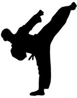 hBARSCI Karate Kick Vinyl Decal - 5 Inches - for Cars, Trucks, Windows, Laptops, Tablets, Outdoor-Grade 2.5mil Thick Vinyl - Black