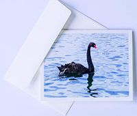 Bird Note cards Original Elegant Photographic Textured White Blank 4.25"x 5.50" Boxed Set 8 W/Matching Envelopes In Plastic Jacket Thank You Invitations Birthdays Greetings Just Because