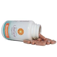 Manjistha (Indian Madder Root) - Ayurveda's Powerful Blood Purifier - 400mg Proprietary Blend (Rubia cordifolia & Tribulus terrestris) - 90 Vegetarian Capsules - Kosher Certified