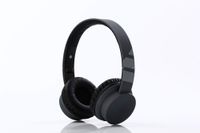 LORELEI EP-19 Wied Headphones for Children Girls Boys Teens with Mic and 3.5mm Socket Compatible Cellphone ipad comptuer MP3/4 (Black)