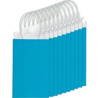 Amscan 162500.54 Cub Bag, 8 1/4"H x 5 1/4"W x 3 1/4"D, Turqouise