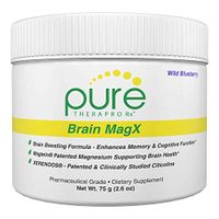 Brain MagX - Wild Blueberry 30 Servings | Nootropic Brain Boosting Formula Containing: Magtein, Xerenoos (Citicoline) & Huperzine A | Enhance Focus, Boost Concentration & Improve Memory | Vegan