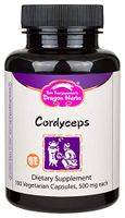 Dragon Herbs Cordyceps -- 500 mg - 100 Capsules