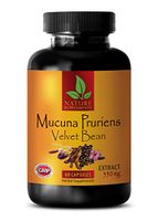 Mood Enhancing Supplements - MUCUNA PRURIENS Extract 350 MG - Velvet Beans - mucuna pruriens Extract Capsules - 1 Bottle 60 Capsules