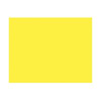ArtSkills Poster Board, 22 x 18 Inches, Pack of 25, Neon Yellow (PA-1504)