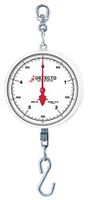 Detecto MCS-40DH Hanging Dial Scale, 40 Kg Capacity, Hook, Double Dial