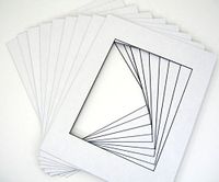Golden State Art, Acid Free, Pack of 10 11x14 White Mats Mattes with Black Core Bevel Cut for 8x10 Photo + Backing + Bag