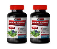 Immune Defense Vitamins - Immune Support Complex 1550MG - Natural Formula - Premium Blend - Stop Free Radical Damage - Green Tea Leaves - 2 Bottles (120 Capsules)