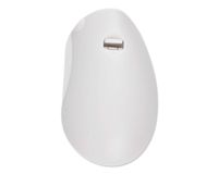 ACE SELECT Battery Cover Replacement Compatible with Fujifilm Instax Mini 7S Instant Film Camera - White