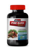 Brain and Memory Supplements - Pine BARK Extract - Free Radical Protection - Energy Supplements for Women - 1 Bottle 90 Capsules