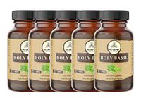 900 Capsules Organic Holy Basil–100% Organic Holy Basil Powder, 350mg Per Serving | Veg Capsules (5 Pack of 180 Cap Each)