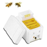 Pinleg Hive Box Bee House Harvest Beehive Pollination Beekeeping for Bee Mating Copulation Frames Foundations for Garden