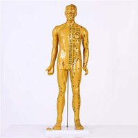 BIUYYY Copper Human Acupuncture Model Pressure Point and Meridians - for Acupuncturists and Other Medical Professionals, 85Cm