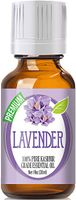Kashmir Lavender Essential Oil - 100% Pure Therapeutic Grade Kashmir Lavender Oil - 30ml