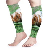 GmCslve Guinea Pig Sea Pig House Calf Compression Sleeve Leg Performance Support Shin Splint Calf Pain Relief
