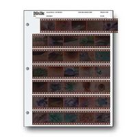 Print File Archival Pages, 35-7B, 1000