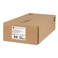 Everyday Adhesive Matte Polypropylene, 120 g/m2, 24\ x 75 ft, White, 2 Rolls/Pk"