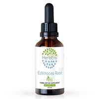 Echinacea Root B60 Alcohol-Free Herbal Extract Tincture, Responsibly farmed Organic Echinacea (Echinacea Purpurea) Dried Root (2 fl oz)