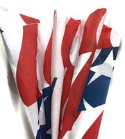 Printed Tissue Paper for Gift Wrapping with Red, White & Blue Patriotic Flag Design, Decorative Tissue Paper - 24 Large Sheets, 20x30