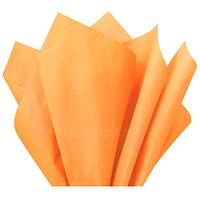 Flexicore Packaging| Gift Wrap Tissue Paper|15"x20"|100 Count (Peach Orange, 100 Sheets)
