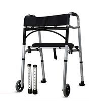 Standard Walkers Walker Adult Walker Folding Wheelchair Help People with Limited Mobility Disabled Auxiliary Equipment Multifunctional Lower Limb Training (Color : Silver)