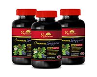 Brain Supplements for Memory and Focus - Immune Support 1550 Mg Complex - Turmeric Capsules Free Shipping - 3 Bottles 180 Capsules