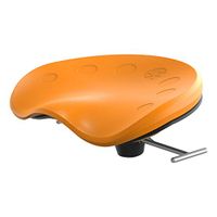 Mobis II and Pivot Swappable Cushions Citrus