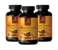 Stress Supplements for Women - MUCUNA PRURIENS Extract 350 MG - Velvet Beans - antioxidant Supplement Women - 3 Bottles 180 Capsules
