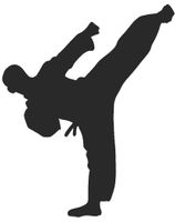 hBARSCI Karate Kick Vinyl Decal - 5 Inches - for Cars, Trucks, Windows, Laptops, Tablets, Outdoor-Grade 2.5mil Thick Vinyl - Matte Black