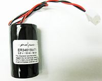 DSC (Tyco) WT4911BATT D Cell Lithium Batteries for W T4911 Two Way Wireless Outdoor