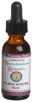 Neuro-Emotional #5 Lg. Intestines Stuck Meridian- Homeopathy