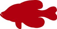 hBARSCI Fish Vinyl Decal - 5 Inches - for Cars, Trucks, Windows, Laptops, Tablets, Outdoor-Grade 2.5mil Thick Vinyl - Red