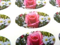 Minilabel Pack Of 48 Pink Rose Flower Seals , 40X20mm Oval Seal Labels, Stickers For Gift Wrapping, Presents, Envelopes, Bags Or Cards
