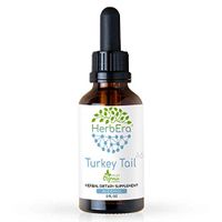 Turkey Tail A60 Alcohol Herbal Extract Tincture, Super-Concentrated Wildcrafted Turkey Tail (Trametes Versicolor) Dried Mushroom (2 Fl Oz)