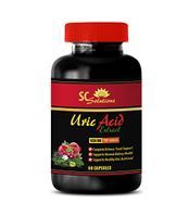 antioxidant All in one - URIC Acid EXTRACTS 1430 MG - Urinary Food - 1 Bottle (60 Capsules)