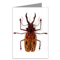 Macrodontia Bug Note Card set