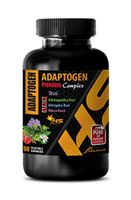Memory Supplement for Brain - ADAPTOGEN Premium Complex - ashwagandha Complex - 1 Bottle 60 Vegetable Capsules