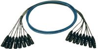 Whirlwind Medusa MT-12-F-M-10 Multitrack Audio Snake with End A XLR Female, End B XLR Male (10 feet)