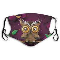 Owl Mouth Guard with Filter Unisex Anti-Dust Washable Reusable Mouth Guard for Kids Teens Adults M