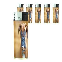 Dog Boxer 01 Lighter Set of 5 Pieces