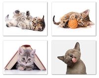 Playful Kitten Greeting Cards - Blank on the Inside - Includes 24 Cards and Envelopes - 4 Unique Designs - 5.5"x4.25"(24 Pack)